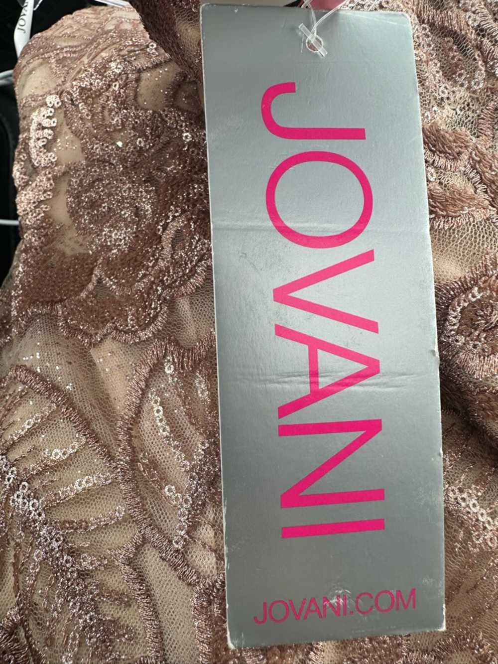 Jovani 67331 Champagne Lace Mermaid Gown – Size 14 - Picture 5 of 6